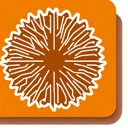 Sunburst Mind Map icon