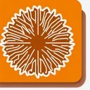Sunburst Mind Map icon
